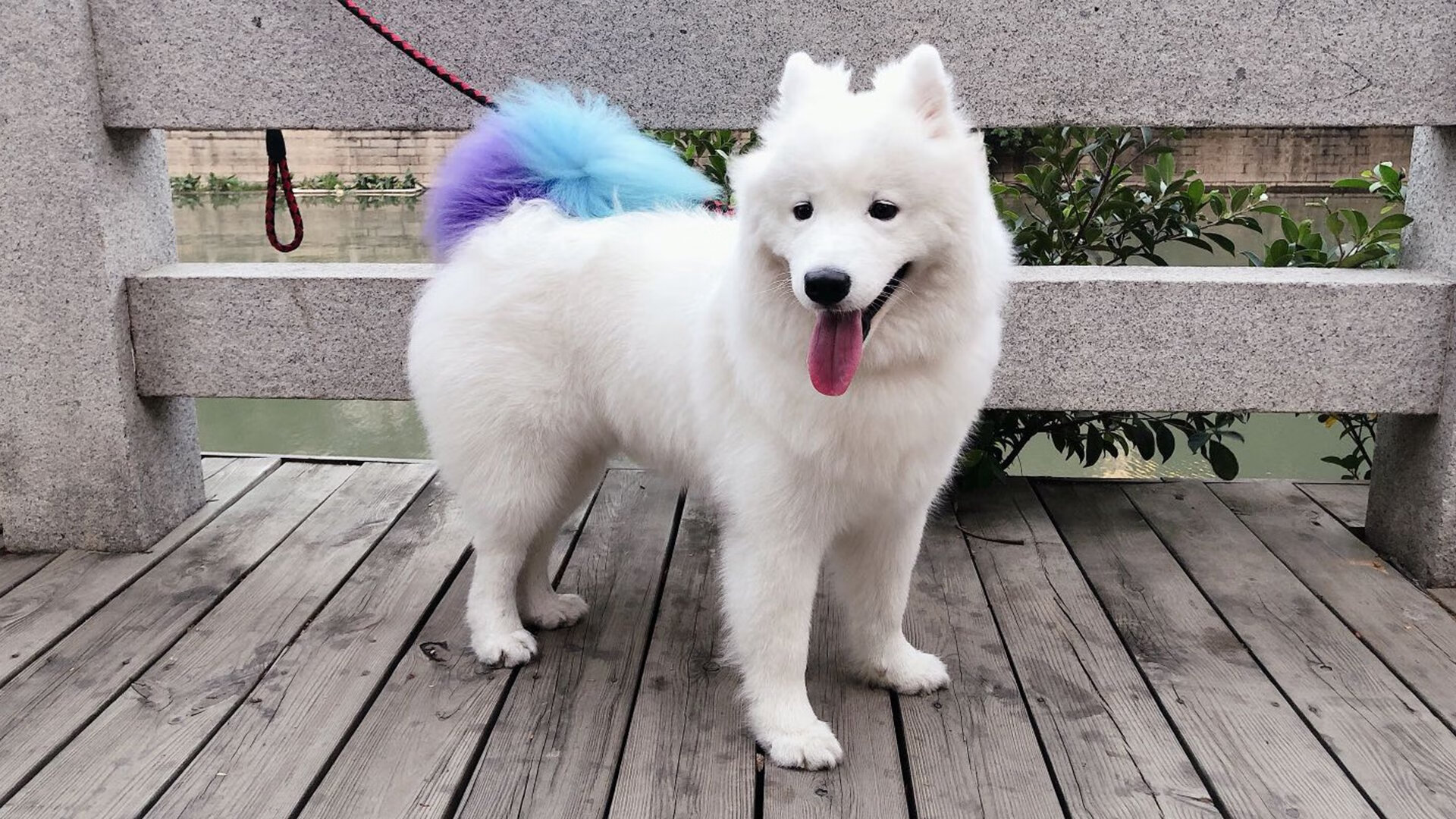 利物浦连续七场保持不败,积分排名稳中有升,利物浦联赛冠军积分