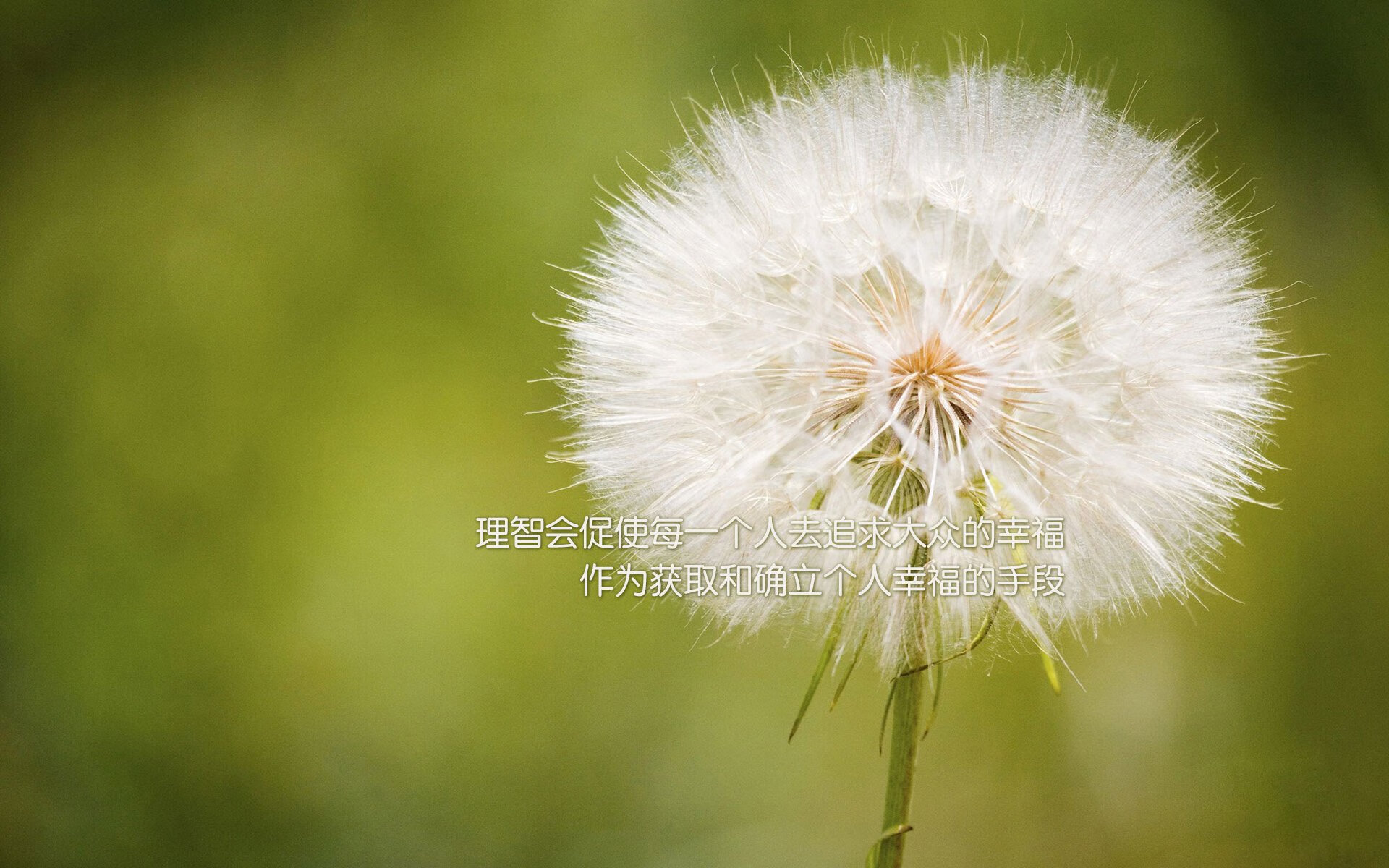 kaiyun中国官方网站-史上最惊险逆转：逆境中的逆风翻盘，世界上最传奇的逆转